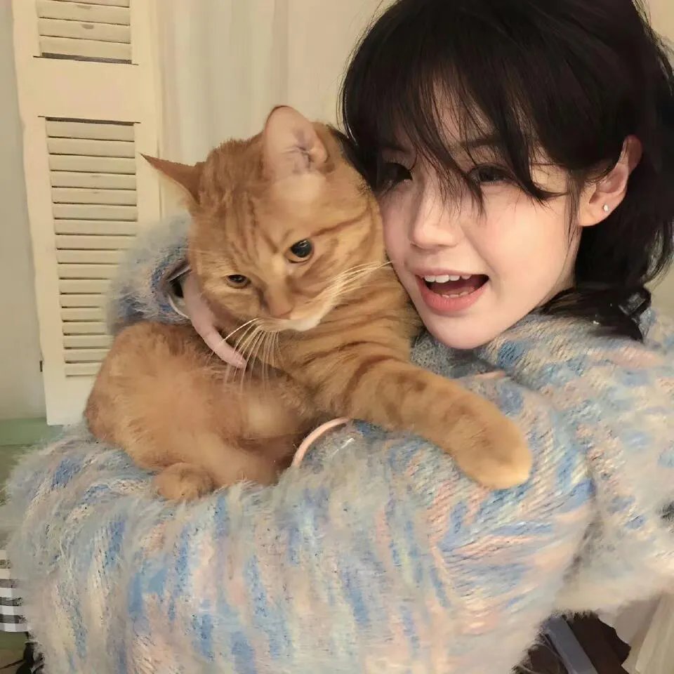 疑神疑鬼的小猪